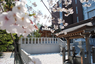 浪速高校桜