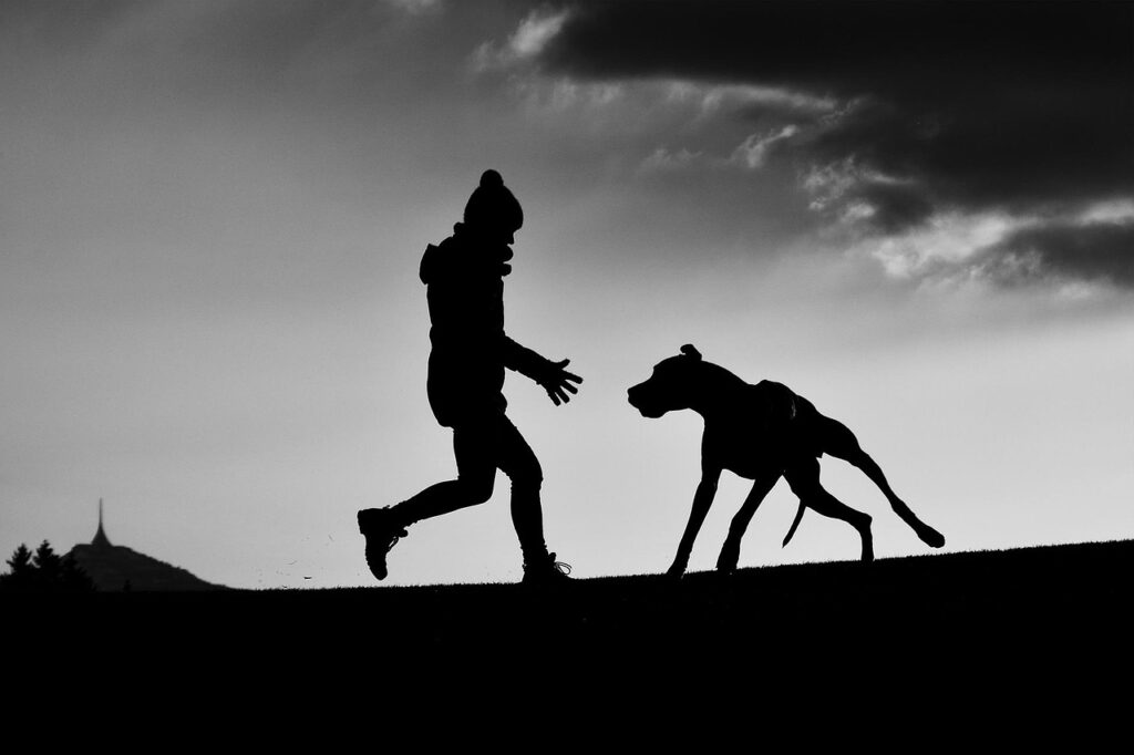 人と犬のシルエットの画像